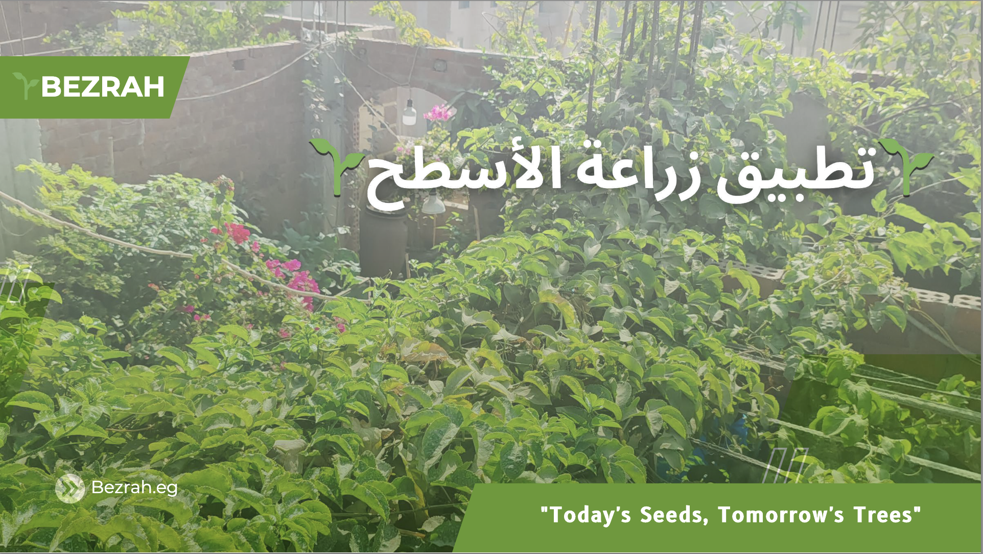 Agriculture — BEZRAH